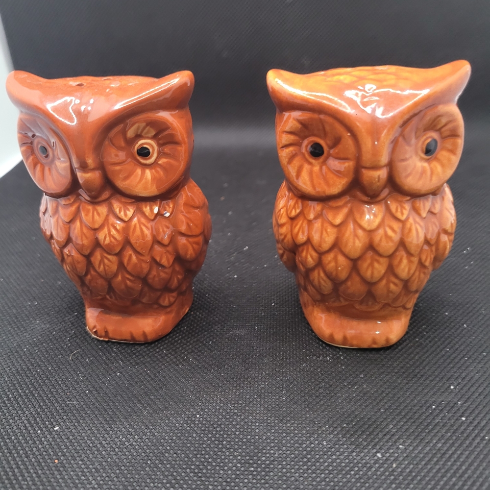 Vintage Brown Owl Salt and Pepper Shakers Ceramic Owl Kitchen Decor Set
